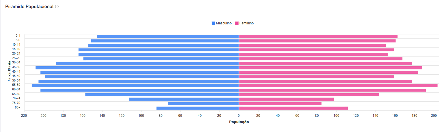 Pirâmide populacional por faixa etária e gênero do município